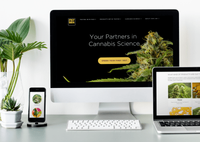 Site redesign for research laboratory
